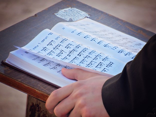 ספרים בעלי חשיבות גבוהה ביהדות: באילו אירועים מתאים לתת סט חומש אור החיים במתנה?